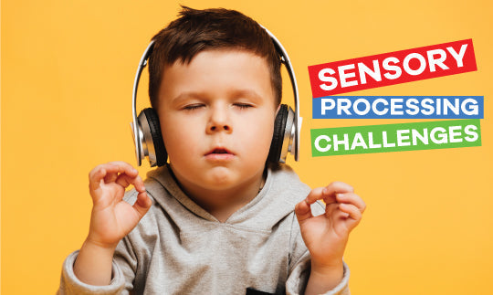 Sensory Processing Disorder