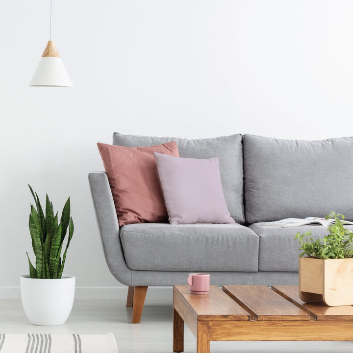 Lavender Sensory Cushion